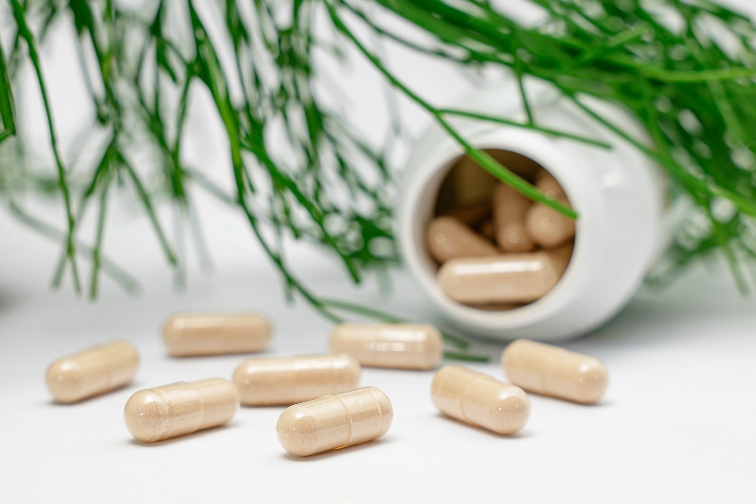 5 Supplements to Boost Your Daily Energy